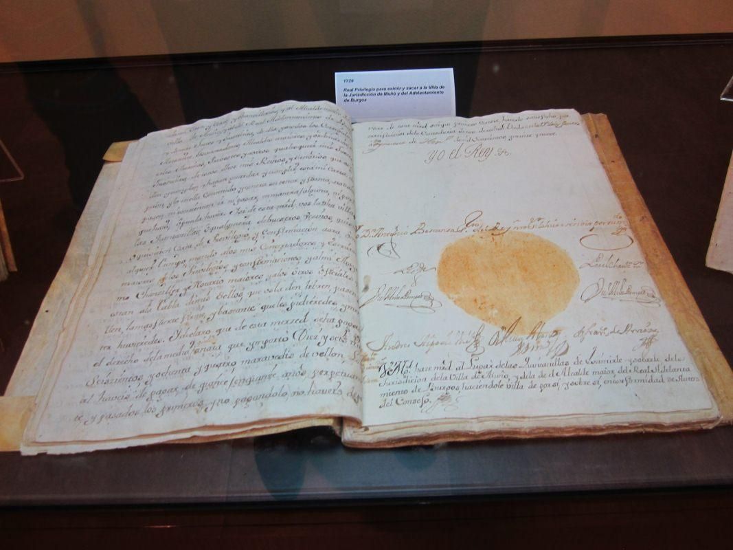 Fotografía de la galería de imágenes con id: 1065